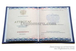 купить аттестат в Саранске